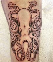 Octopus タコ
