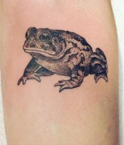 Frog カエル