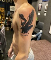 鷹 hawk