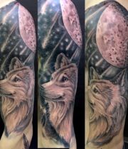 Wolf and outer space